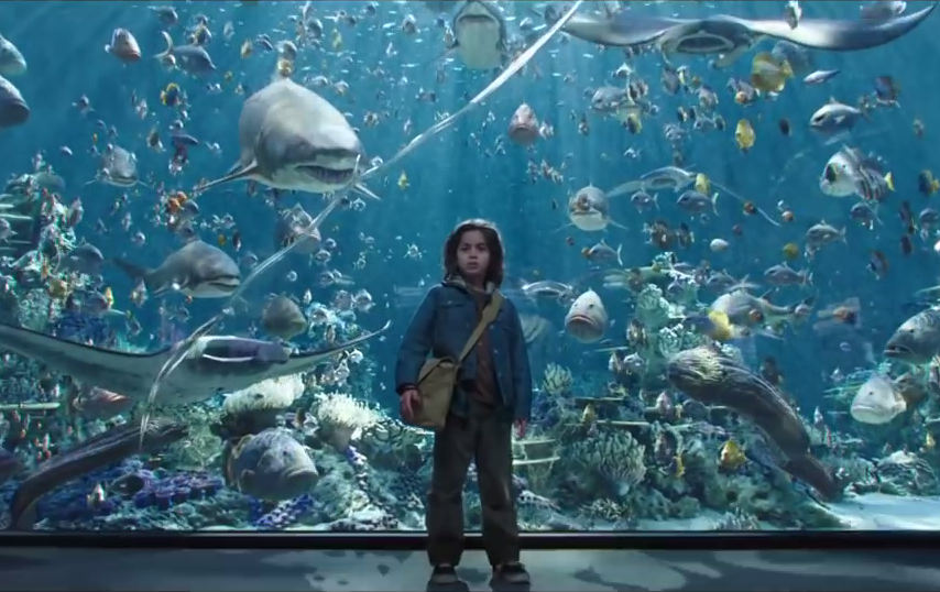 ‘Aquaman’ Trailer Shows Sharks, Seahorses … and a Sheep | Movie Paws